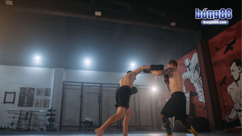 Cá độ MMA là gì?