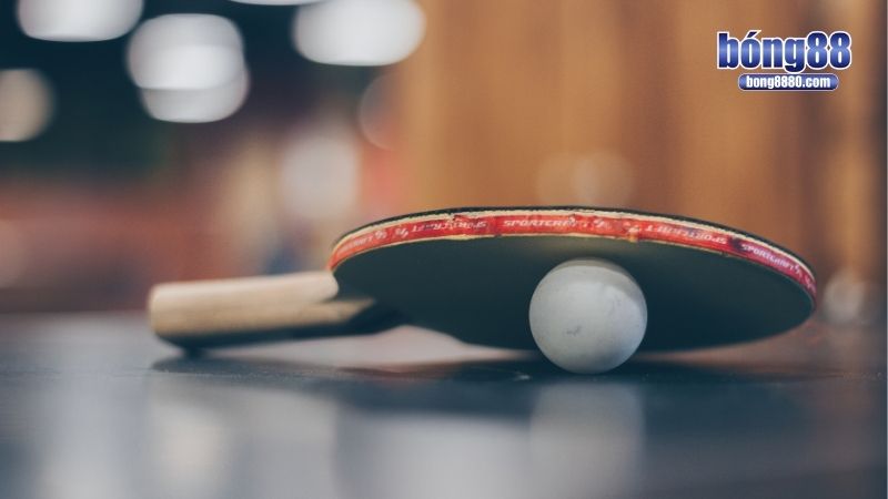 Cá độ bóng bàn có những loại kèo độc đáo nào