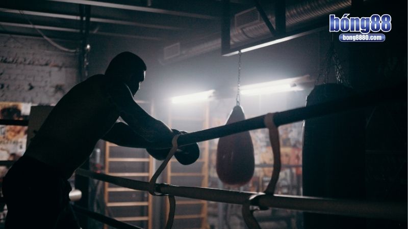 Cá độ quyền anh chơi thế nào?