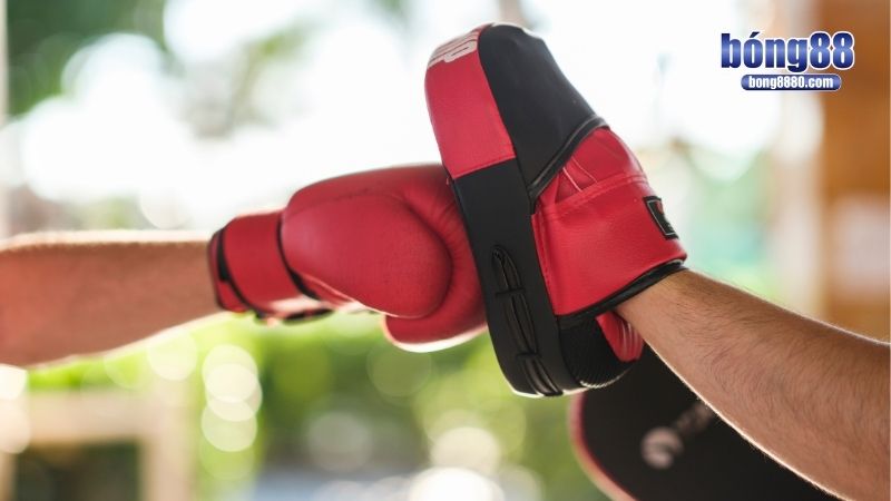 Các cược điển hình trong cá độ quyền anh