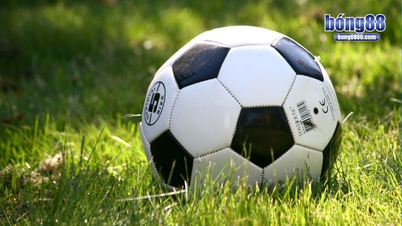 Chơi ở đâu để cược bóng đá minh bạch, sòng phẳng