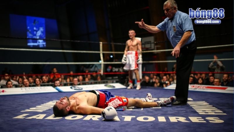 Kiến thức cược mang lại lợi nhuận vượt trội