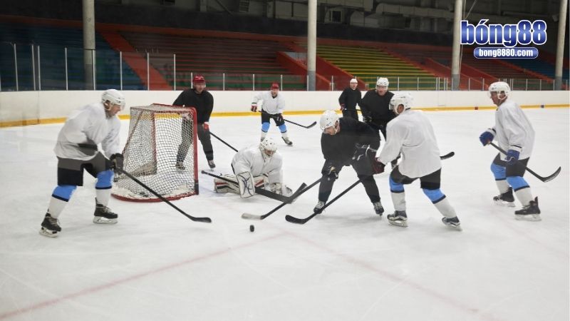 Bí kíp cá độ hockey xanh chín cho tân thủ
