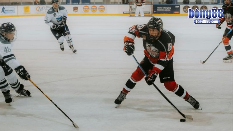 Cá độ hockey có phù hợp với newbie?