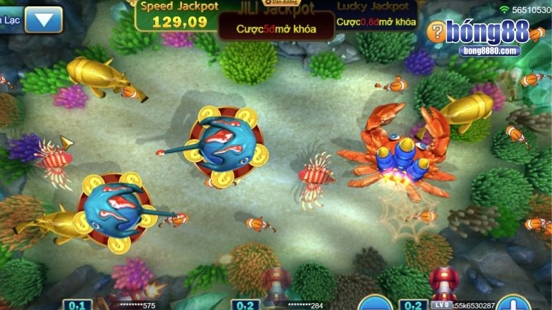 Một số lưu ý quan trọng khi chơi bắn cá Phát Lộc