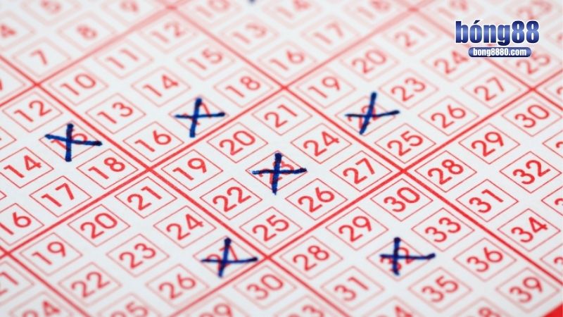 Xổ số miền Trung - Thông tin mới nhất & cách chơi hiệu quả Tỷ lệ giải thưởng xanh chín tại Xổ số Miền Trung