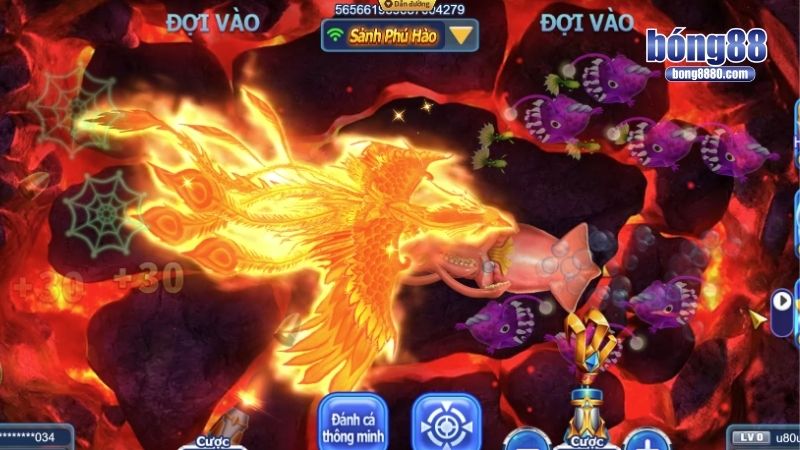 Vì sao bắn cá kim cương lại được ưa thích?