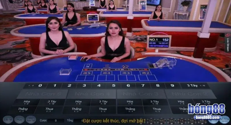 Các thuật ngữ hay gặp