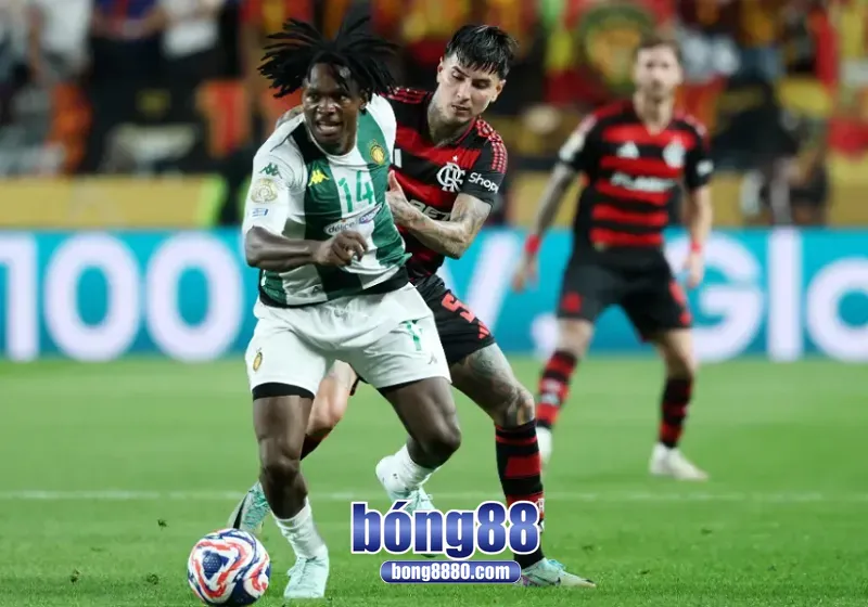Nhận định trận đấu Los Angeles vs Flamengo 08h00 ngày 25/6 Dự đoán kết quả Los Angeles 1-3 Flamengo