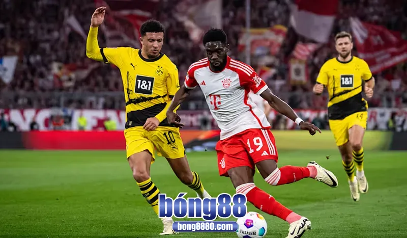 Đội tuyển Bayern Munich được đánh giá cao hơn về phong độ