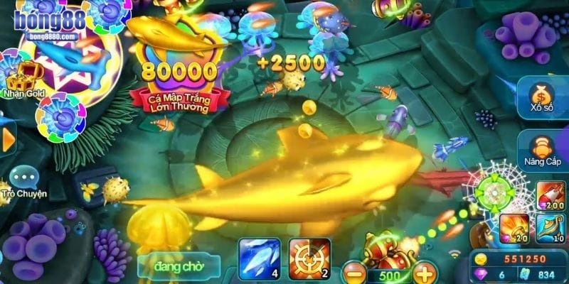 Chọn đúng vũ khí để hạ cá