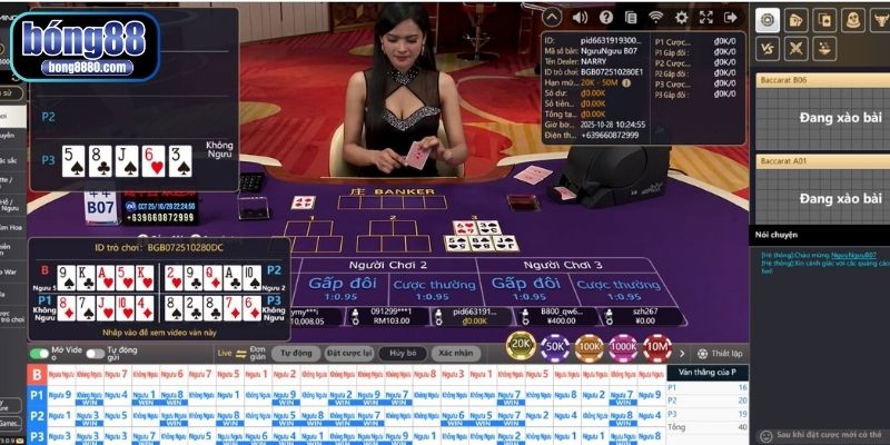 Có nhiều cửa cược trong một ván bài Ngầu hầm