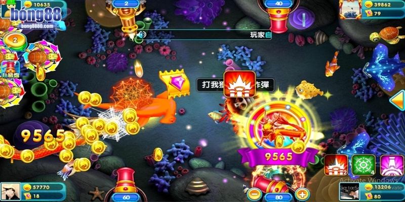 Đoán hướng đi của cá